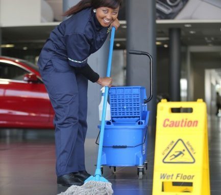 effective Store Cleaner  X5- Olivewood